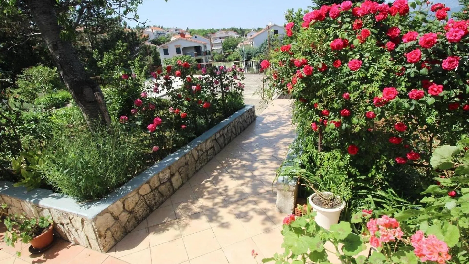 Ferienwohnung Fuer 3 Personen Ca 50 M In Silo, Adriakueste Kroatien Kroatische Inseln - B44380 Croatia